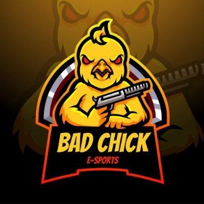 Offical Twitter of Bad Chick Esports 🇪🇺 🇹🇷 #BADWIN