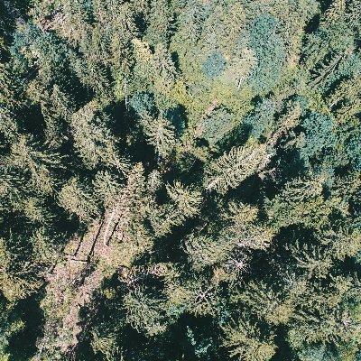 SBrondex's profile picture. Chargé de Mission Ressources Humaines #formation #recrutement #groupesamse
Mes tweets n'engagent que moi