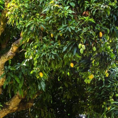 VKSenthilCBE's profile picture. Logic Version