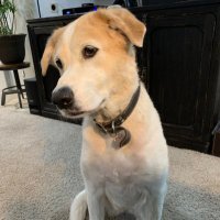 Billy Tolley (@billytolley) 's Twitter Profile