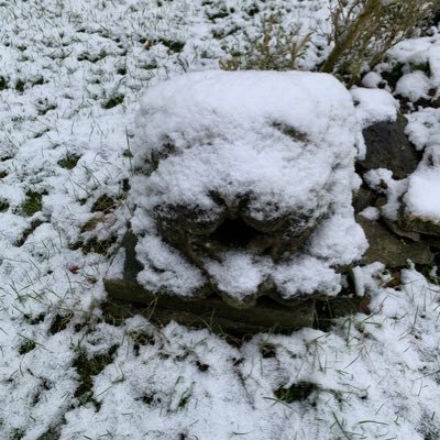 RabeMutter's profile picture. Schreibfaul