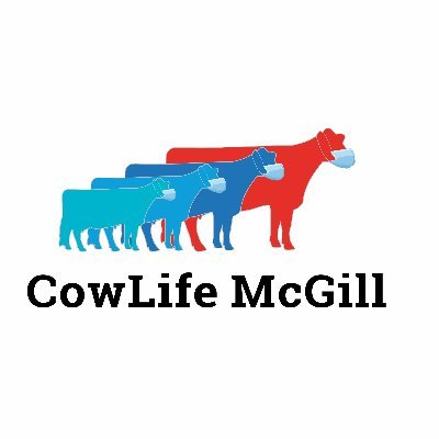 Research program on cow comfort, longevity and sustainability of dairy cows at Macdonald Campus, McGill University