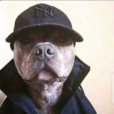 SponsorJunior's profile picture. jesus wept