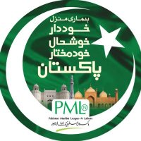 Faizan Sipra PML_N(@0MNS5) 's Twitter Profileg