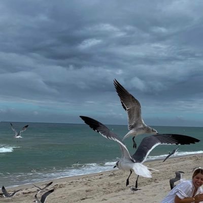 eduardovt0's profile picture. 