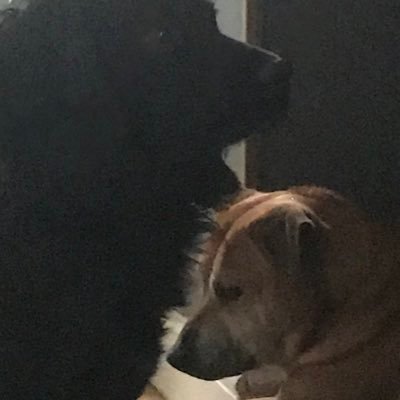 manspider120's profile picture. Pls sub to my channel manspider120