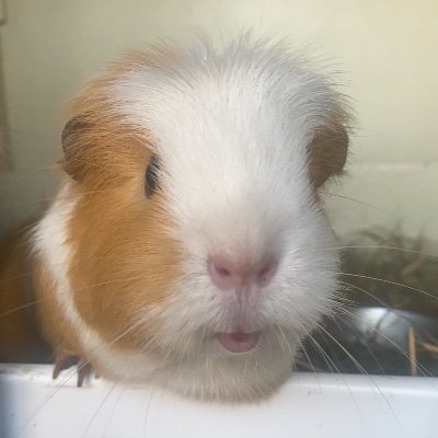 Ellie Masseyさんのプロフィール画像