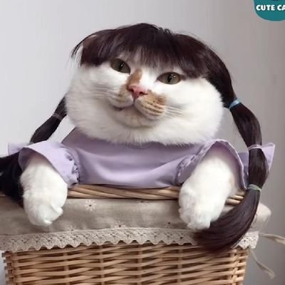 vroziさんのプロフィール画像