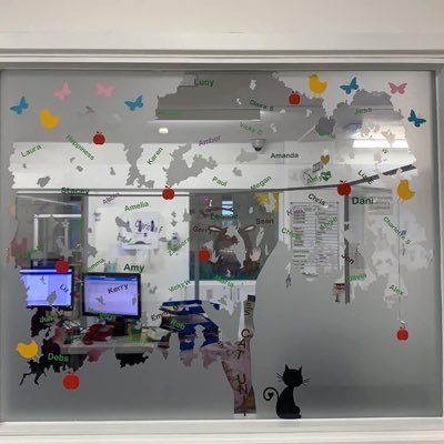 Leeds childrens Hospital-Cat unit