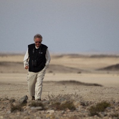 PimmStuart's profile picture. 