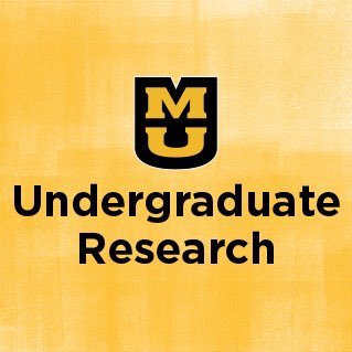 Undergraduate research programs at MU allow students to explore the unknown through hands-on work with faculty mentors. Students in ANY major can get involved!
