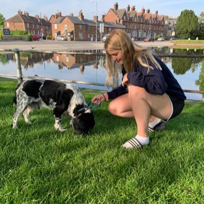 GDL student, ex historian, spaniel lover, part time traveller