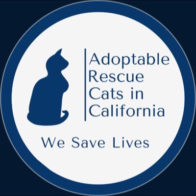 Tweeting about #adoptable #cats in #California. Hosting #forgottensoulshour every Thursday. We're all former volunteers from MCA (now closed)  #adoptdontshop