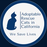 Adoptable Rescue Cats in California(@AdoptRescueCats) 's Twitter Profile Photo