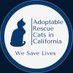 Adoptable Rescue Cats in California (@AdoptRescueCats) Twitter profile photo