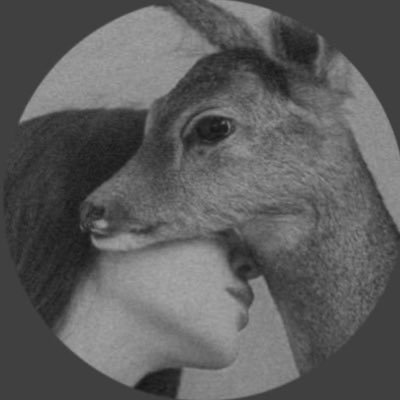 𝙰𝙰𝙳 Profile