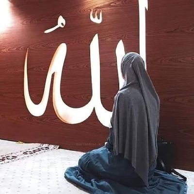 PSUxWoQrw942MOU's profile picture. فارسة الاسلام