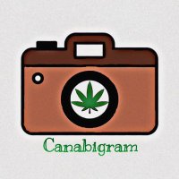 Canabigram(@canabigram) 's Twitter Profile Photo