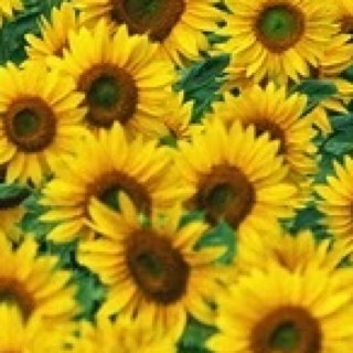 wwcork's profile picture. 30 year old food lover & Serial weightwatchers member! Just set up #wwcorktwitterbookclub. Hope its a big success :)