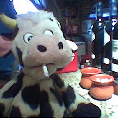 iribasmo's profile image