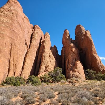 mysticpenholder's profile picture. that 4 colour pen holder ;-)