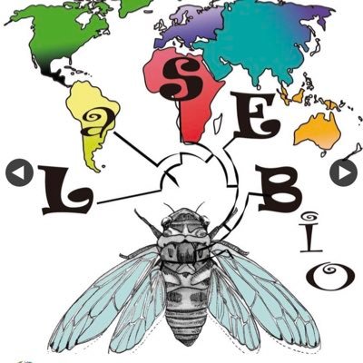 Página do Laboratório de Sistemática, Entomologia e Biogeografia/ UFSM | Twitter para divulgação científica | Siga-nos também no Instagram: @lasebioufsm
