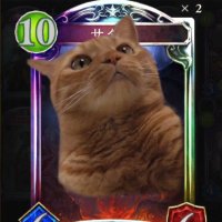 あぽろ (@_aporog) 's Twitter Profile Photo あぽろ (@_aporog) 's Twitter Profile Photo