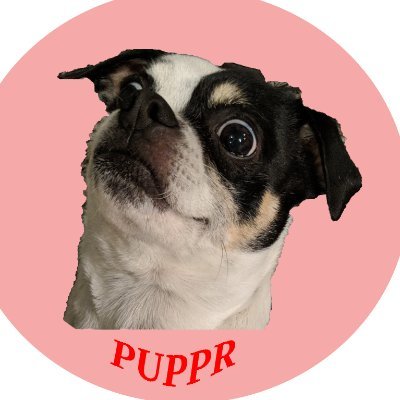 pupperapp Profile