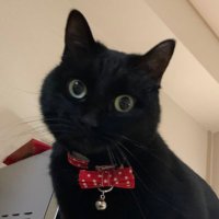 yu---☆ (@niji0415) Twitter profile photo