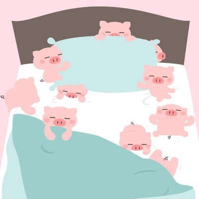 butatater's profile picture. 時差投稿ですが、ぶたたとの日常を載せてます♡