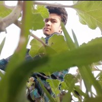 Md Robiul Islam (@mdrobiu93302126) 's Twitter Profile