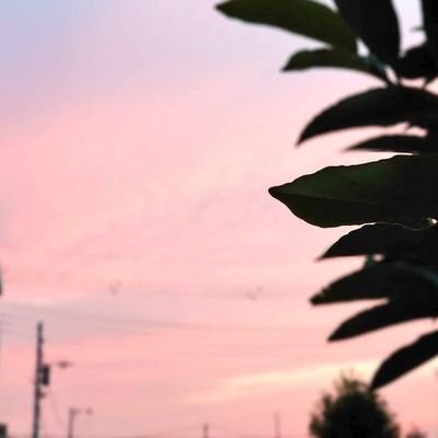 tjwA30vvcs2zIjL's profile picture. 