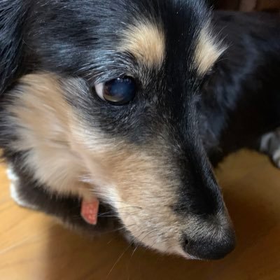 qUuvgIGcYHyVPON's profile picture. 2014年からゆる〜く配当金、株主優待狙いで日本株🇯🇵投資を始める。アメリカ🇺🇸個別株投資を経てETFの優秀さに気づきVYMに投資さらにレバレッジナスダック100積み立てが最強だと考えシフト変更中、3倍レバのSOXL等、インド株🇮🇳、純金積立を少々、楽天ポイントをBTC、ETHにコツコツ交換