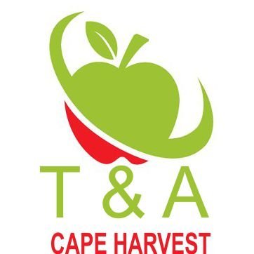 AjkDesigner's profile picture. graphics designer and freelancer