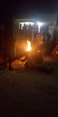 1st_wtf's profile picture. son