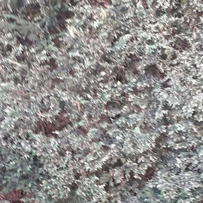 Sa16096132's profile picture. تشويق