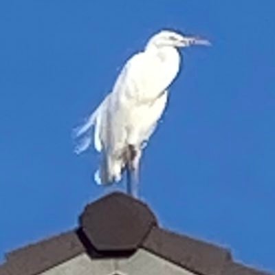 takahara03hiro's profile picture. 広大4年。from岡山。生命科学。生命倫理なう。