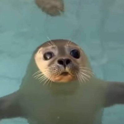 MachacSimon's profile picture. jsemzevsehostrasneposranej