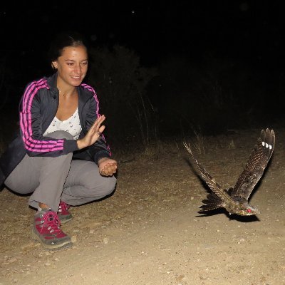 PhD student focused on juvenile period of Red-necked Nightjars (Caprimulgus ruficollis) in Doñana National Park. University of Pablo de Olavide, Seville