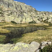environmentator (@environmentator) 's Twitter Profile