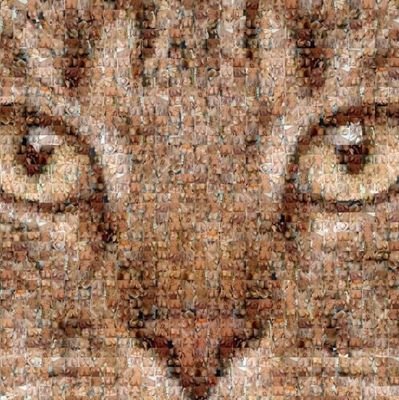 richard_ribin's profile picture. 