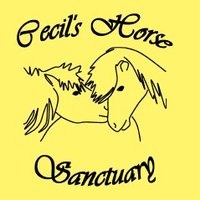 Cecil's Horse Sanctuary (@cecilssanctuary) 's Twitter Profile