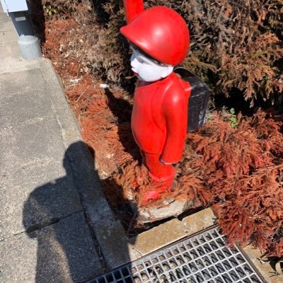 urdpapa1's profile picture. 