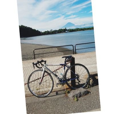 SatTsubo's profile picture. 