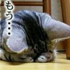 こちゃんさんのプロフィール画像