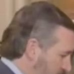 harnish_aaron's profile picture. According to all known laws of aviation, bees shouldn't be able to fly