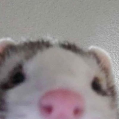 JesperHarten's profile picture. ...