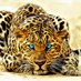 Pritesh Patel (@priteshp101) Twitter profile photo Pritesh Patel (@priteshp101) Twitter profile photo