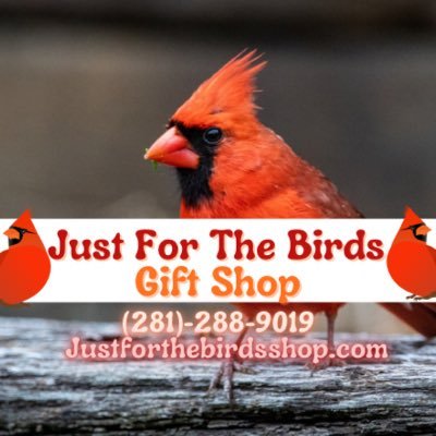 Small Shop Dedicated To Providing Personalized Services, Products, & Gifts For Bird Lovers, Squirrels, Butterflies, & Bats🦜! Visit Our Shop Today🕊!