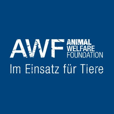 Unabhängige, gemeinnützige und international aktive Tierschutzorganisation. 

#AnimalWelfareFoundation #StoppQualtransporte